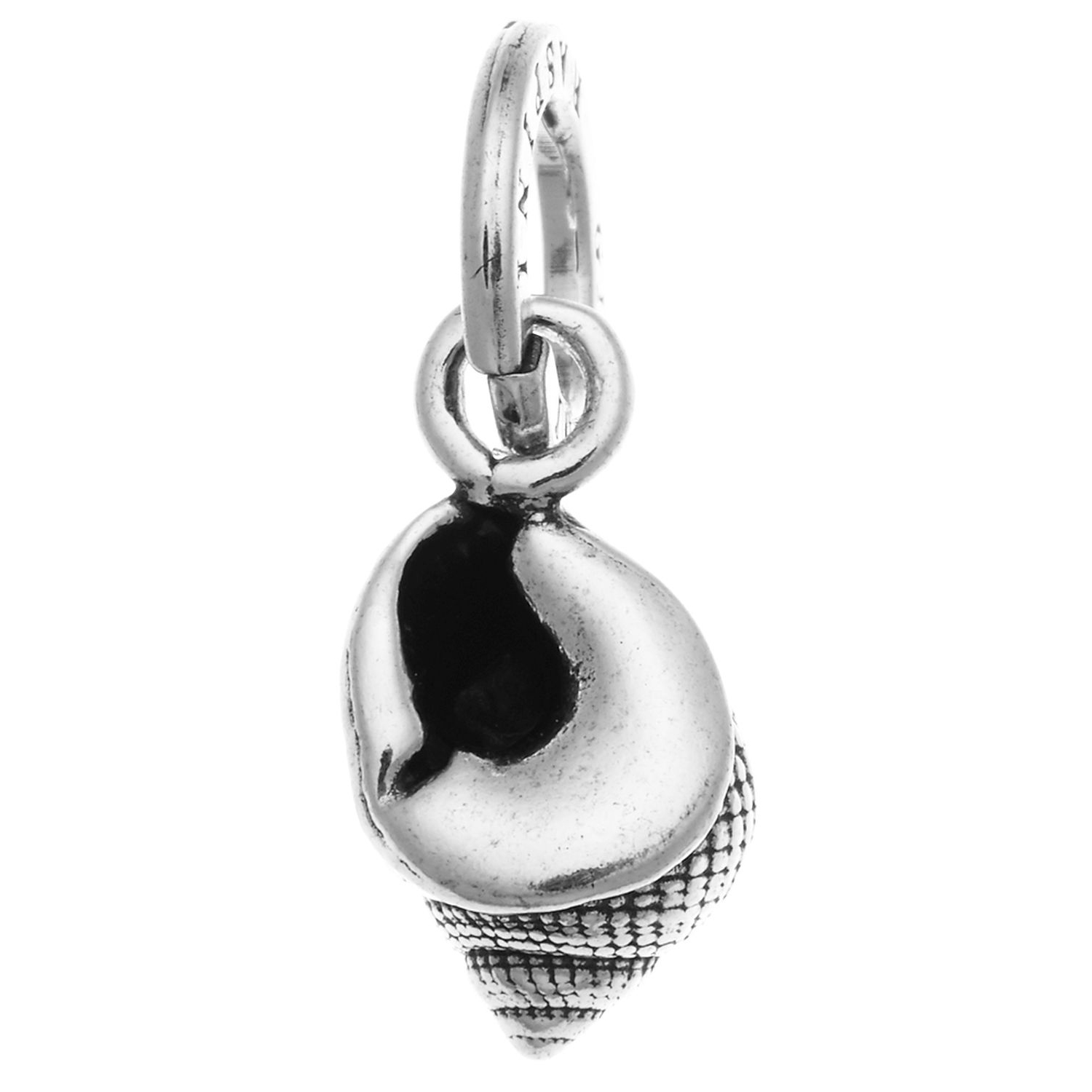 CHARM CONCHIGLIA LUMACHELLA