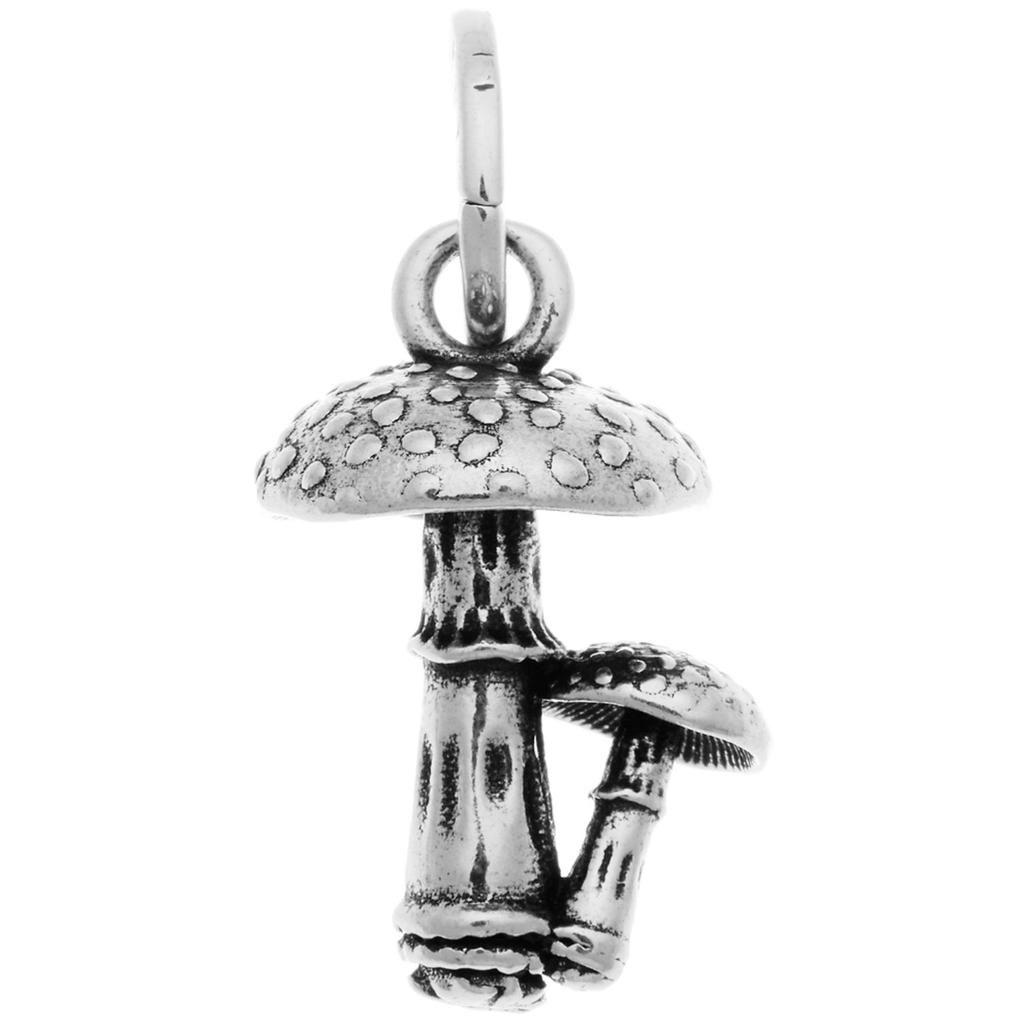 CHARM FUNGHI CHARM FUNGHI