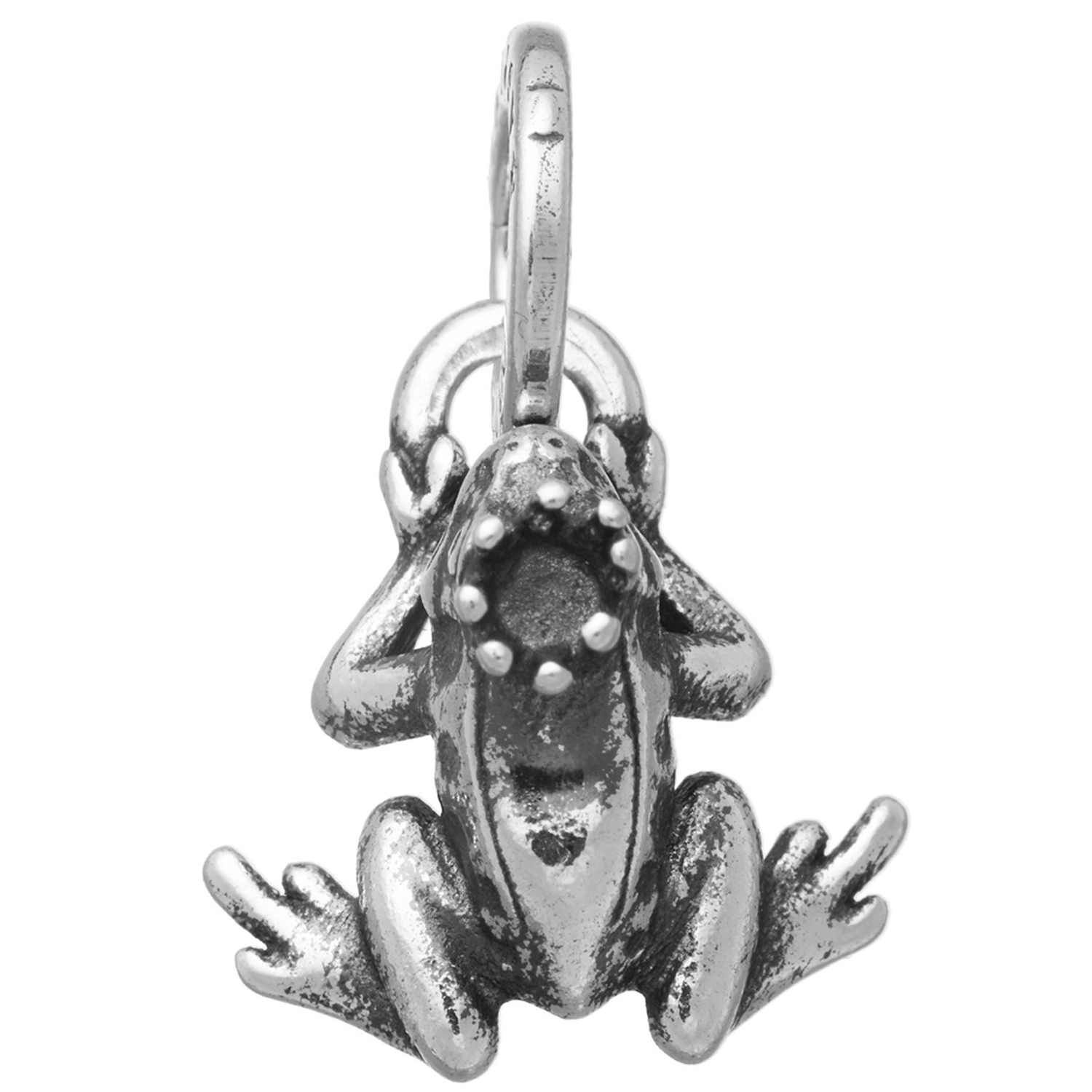 MINI CHARM PRINCIPE RANOCCHIO MINI CHARM PRINCIPE RANOCCHIO