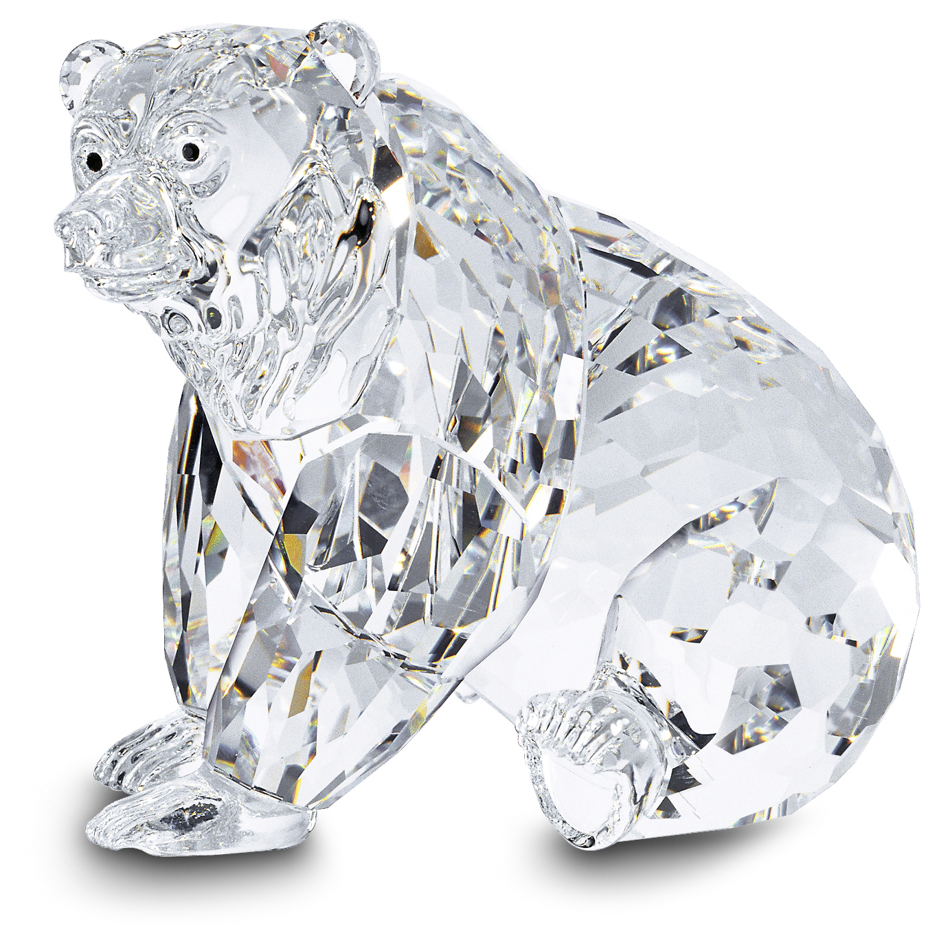 ORSO GRIZZLY