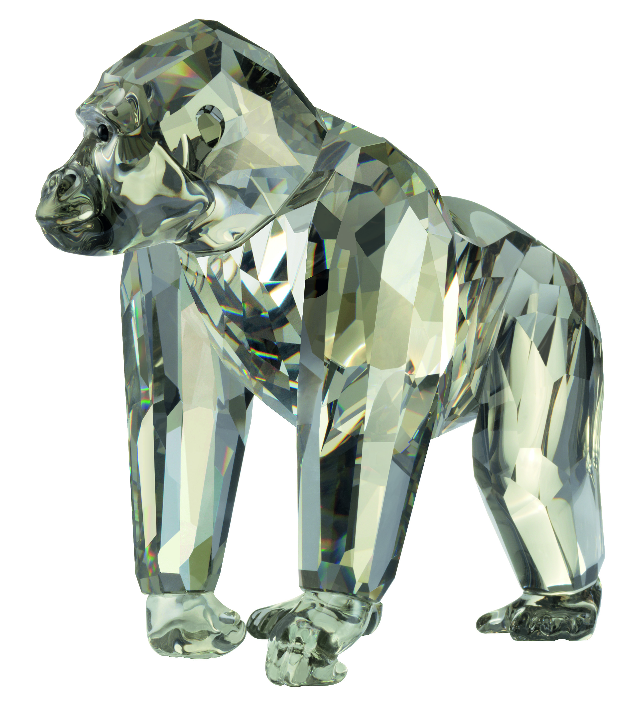EDIZIONE ANNUALE 2009 GORILLA